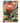 Pride of the Protea