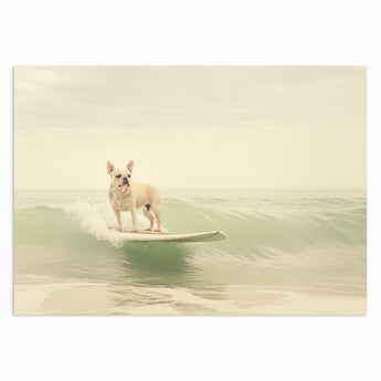 Surf’s Up Pooch