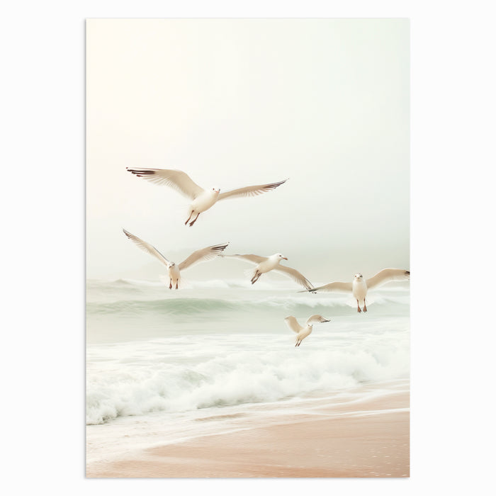 Flight Over the Shore