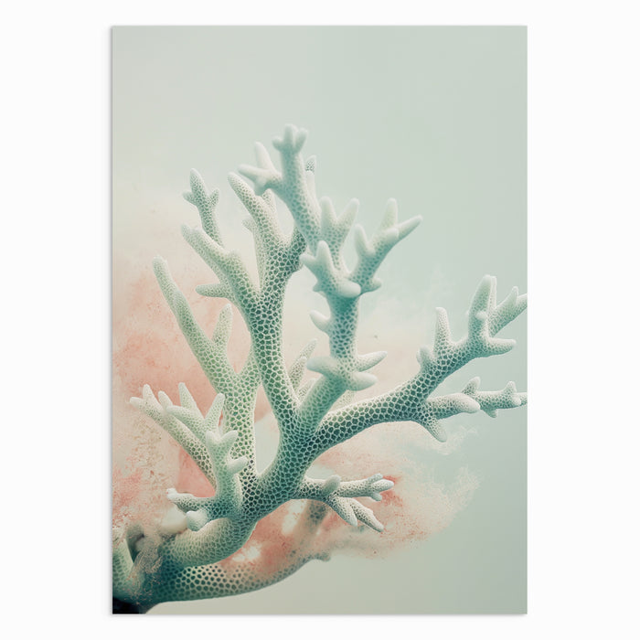 Coral Whispers