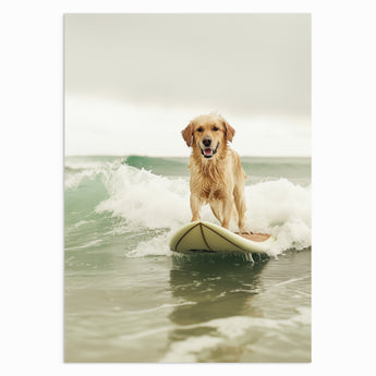 Surf’s Up Pup