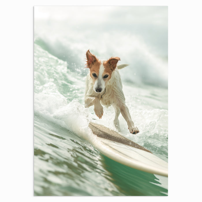 Ocean Bound Hound