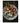Culinary Forager’s Delight