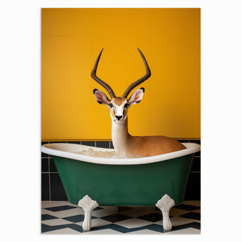 Springbok Bath Time