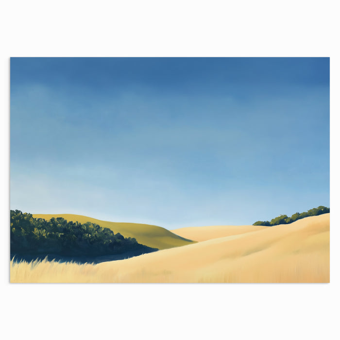 Fields of Quiet Light