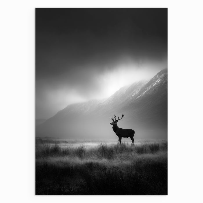 Presence