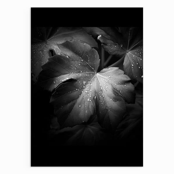 After Rain