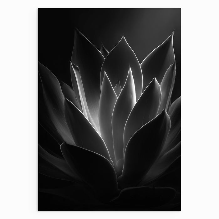 Inner Petal