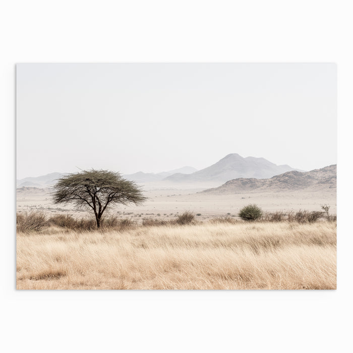 Stillness Across the Plain