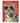 Leopard King Poster