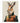 Springbok Poster