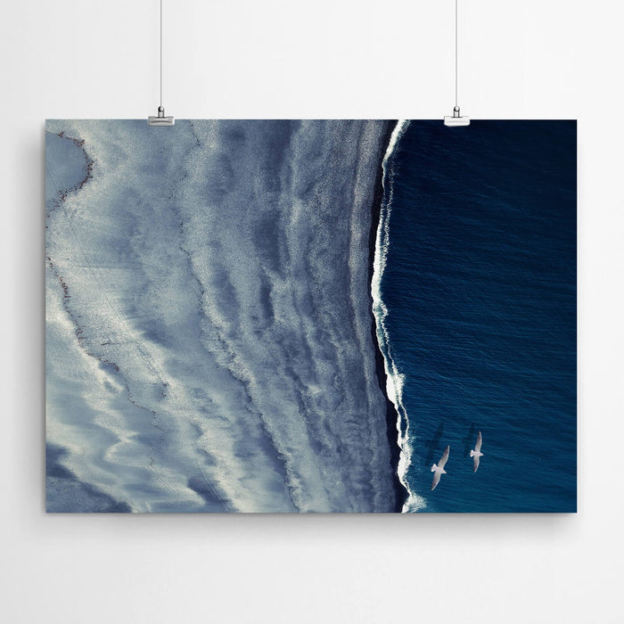 Aerial Beach Seagull Wall Art