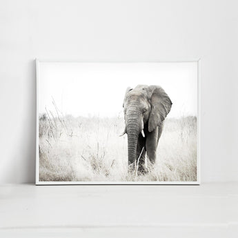 African Elephant Decor Print