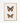 Artworld Wall Art African Monarch Wall Art