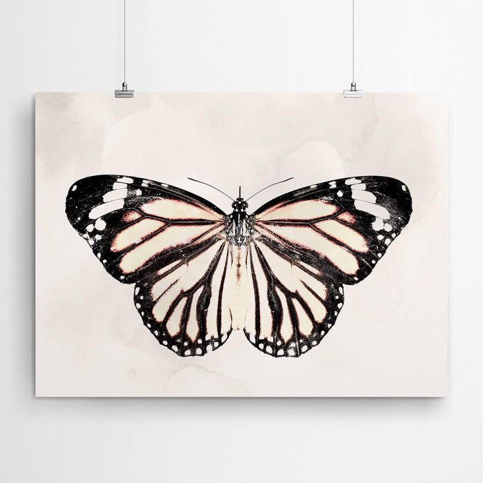 African Monarch Wall Art Canvas Print