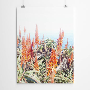 Aloe Canvas Art