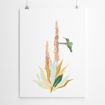 Aloe Hummingbird Art Print