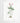 Artworld Wall Art Alstrameria Vintage Wall Art 66