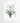 Artworld Wall Art Amaryllis Vintage Wall Art 69