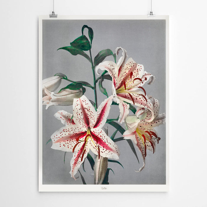 Antique flower painting