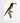 Artworld Wall Art Aracari Vintage Bird Print 77