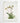 Artworld Wall Art Argus Vintage Orchid Print 78