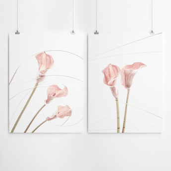 Artworld Wall Art Arum Lilly Wall Art Prints 84