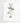 Artworld Wall Art Astrameria Vintage Orchid Print 86