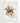 Artworld Wall Art Autumalis Vintage Orchid Print 87