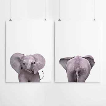 Artworld Wall Art Baby Elephant Back And Front Print 90