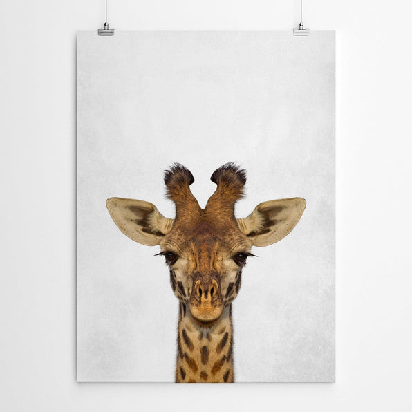 Artworld Wall Art Baby Giraffe Nursery Wall Art