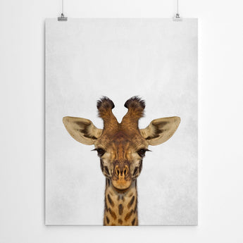 Artworld Wall Art Baby Giraffe Nursery Wall Art