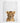 Artworld Wall Art Baby Lion Cub Portrait Nursery Wall Art