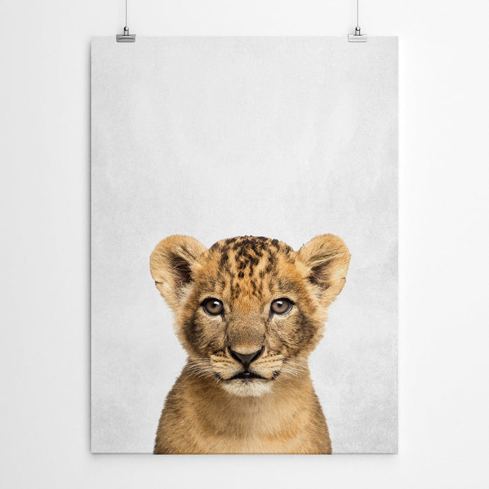 Baby Lion Cub Portrait Nursery Wall Art