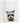 Artworld Wall Art Baby Raccoon Print 94