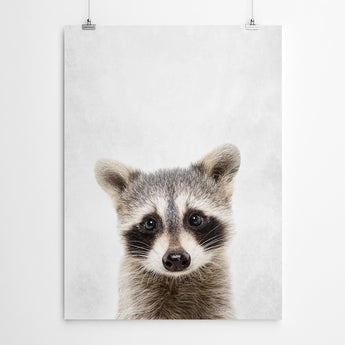 Artworld Wall Art Baby Raccoon Print 94