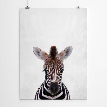 Artworld Wall Art Baby Zebra Portrait Nursery Wall Art