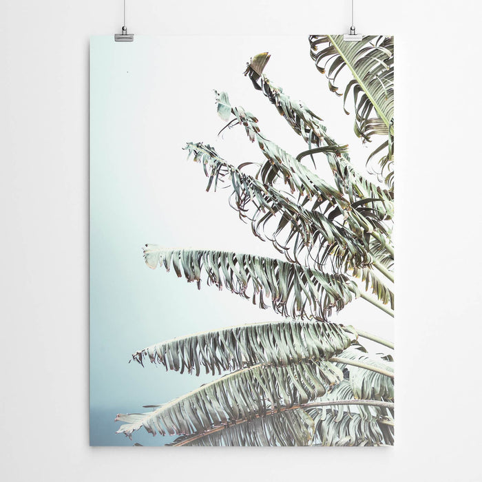 Banana Tree Wall Art