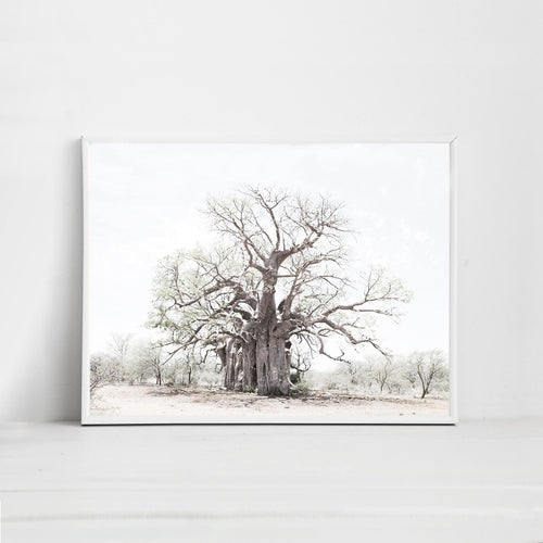Baobab Print