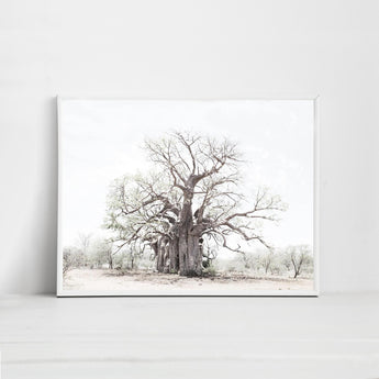 Artworld Wall Art Baobab Print 0