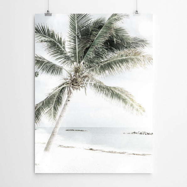 Artworld Wall Art Beach Palm Wall Art 2