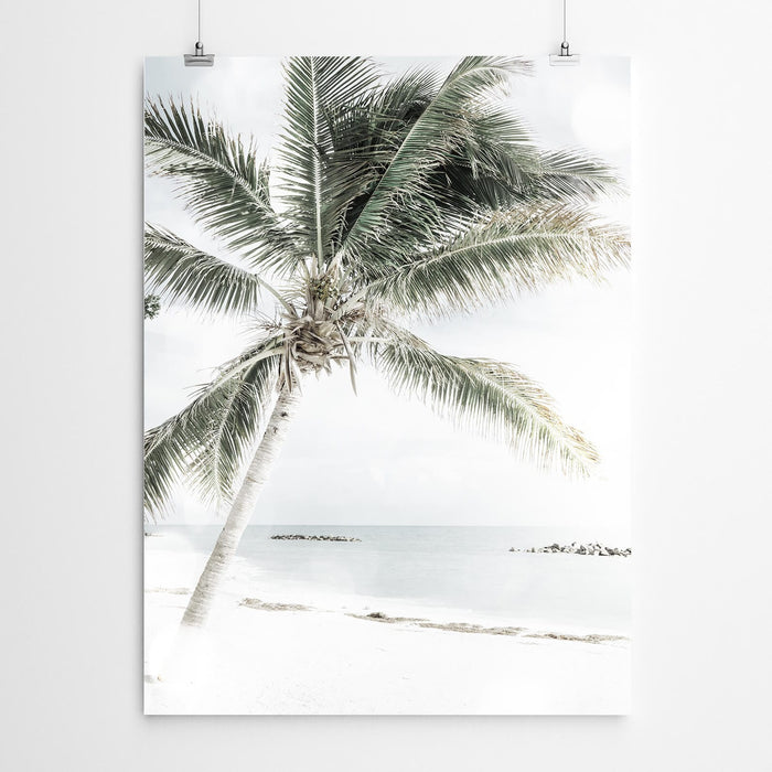 Beach Palm Wall Art