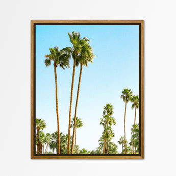 Artworld Wall Art Beach Palm Wall Art