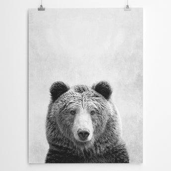 Bear Art Print