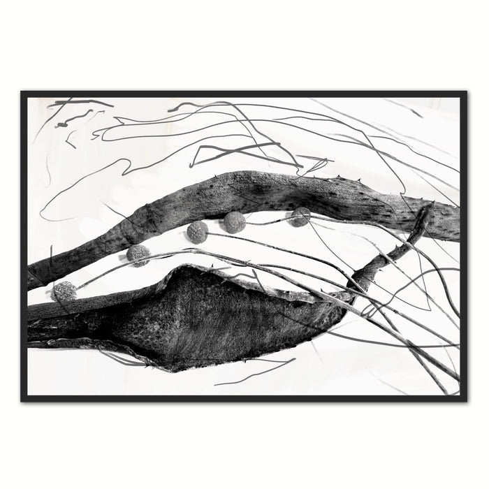 Black and White Aloe Abstract Print
