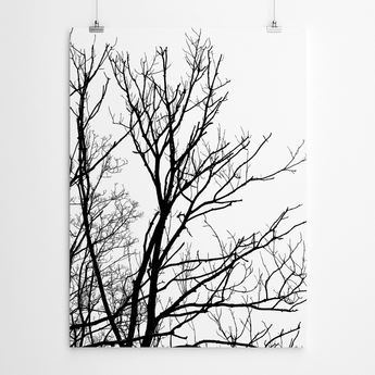 Black And White Canvas Print