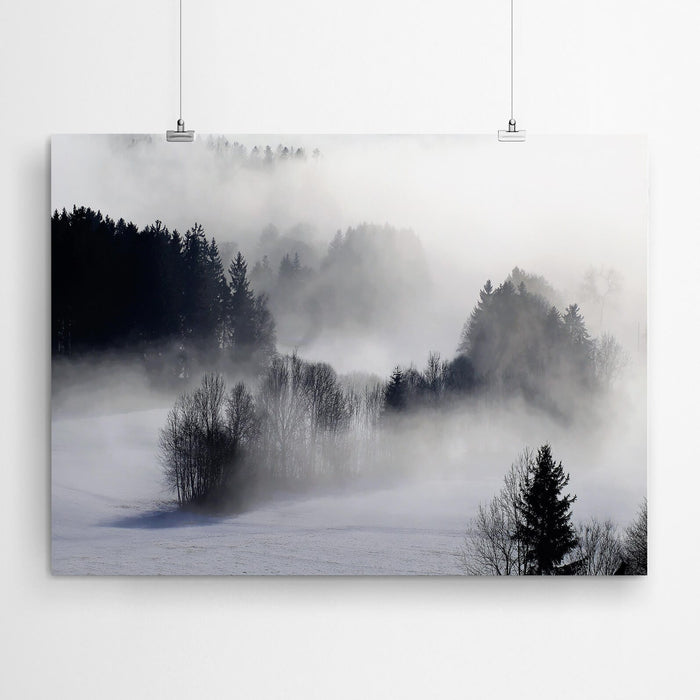 Black And White Forest Canvas Print