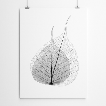 Black And White Leaf Art