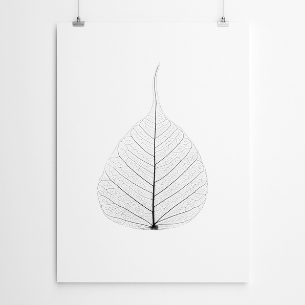 Artworld Wall Art Black And White Leaf Wall Art 5