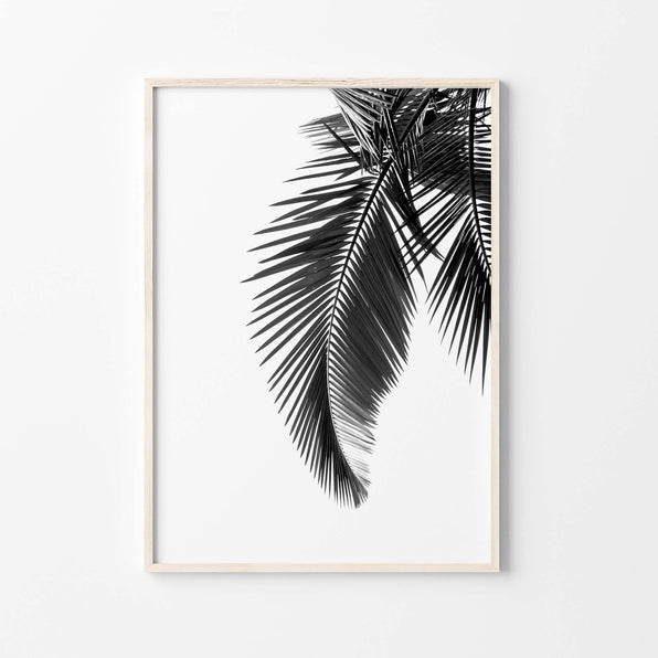 Artworld Wall Art Black and white Palm Leaf Wall Art Print